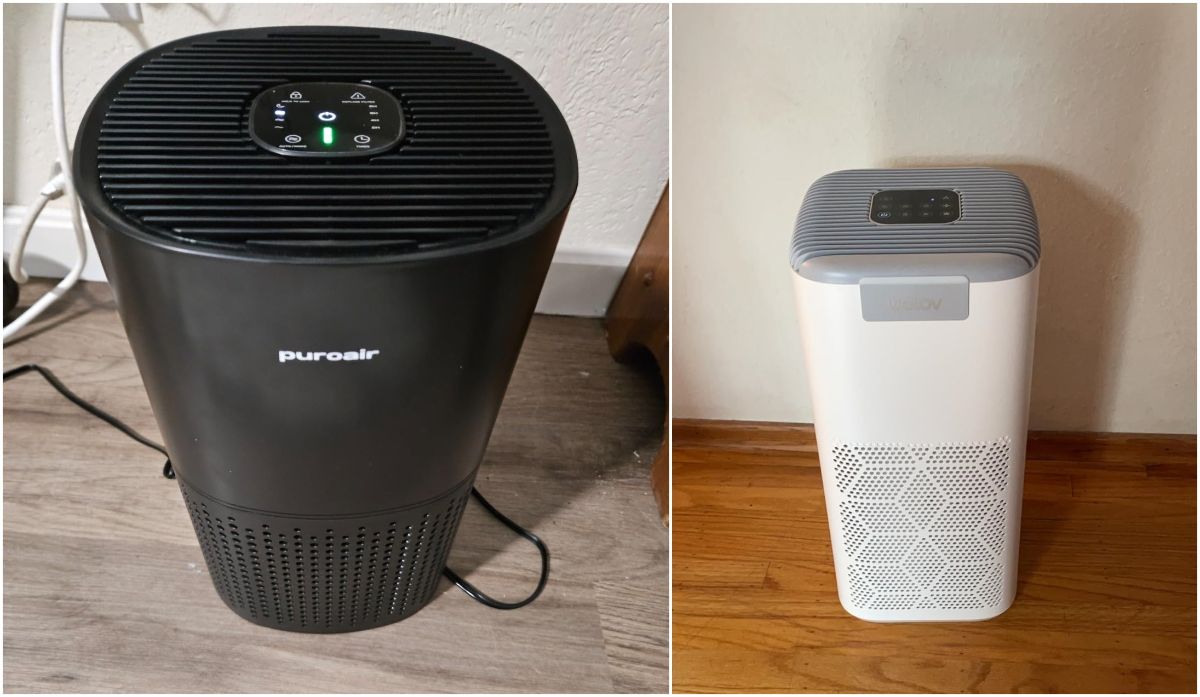 I Reviewed and Ranked the Best Air Purifiers in 2024